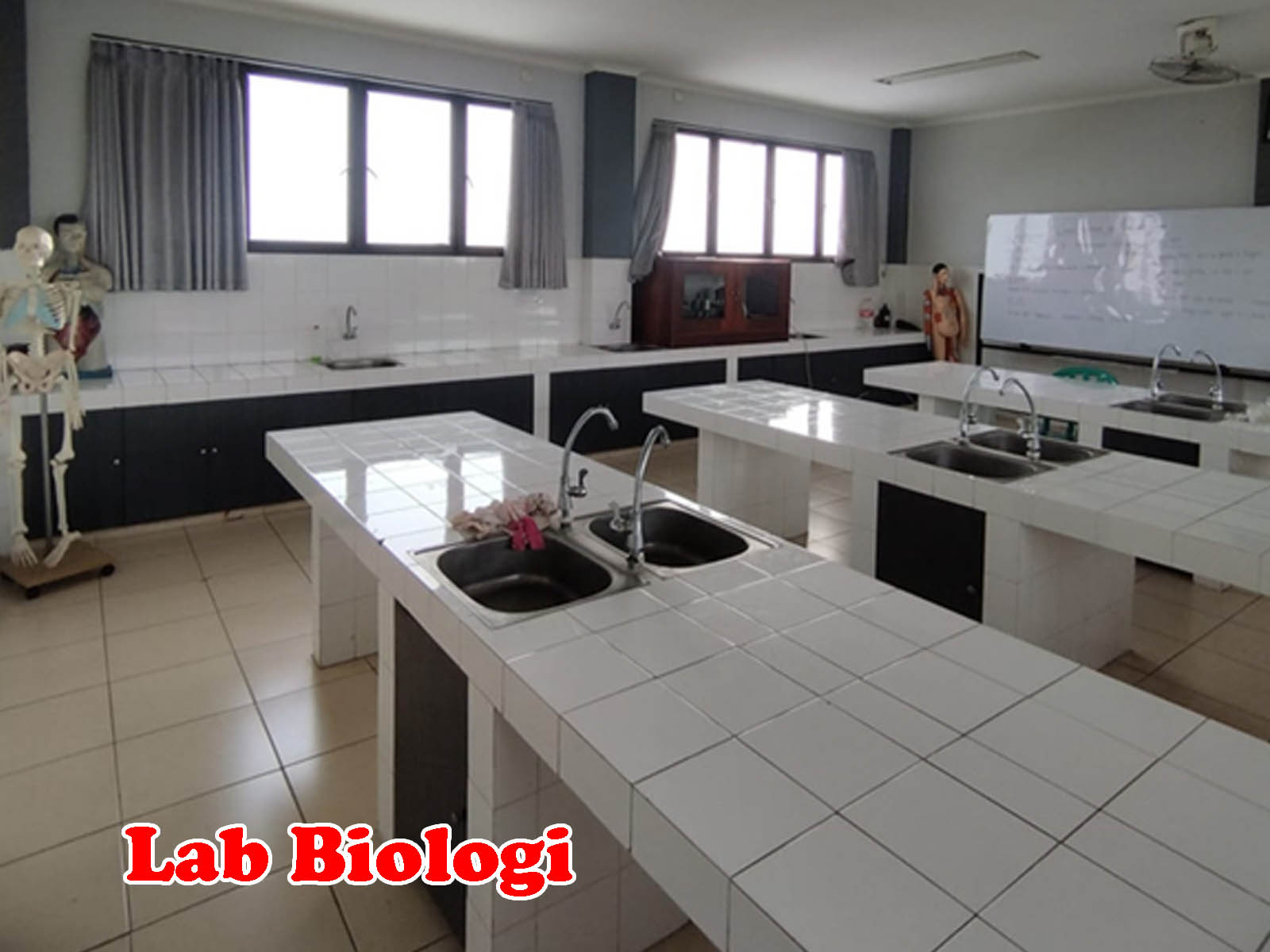Lab Biologi